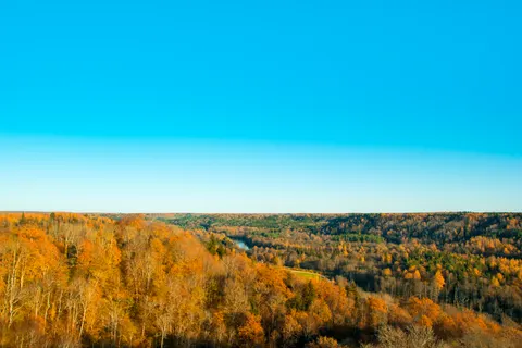 Sfondo Fiume in autunno 4K · nature · 3840×2560