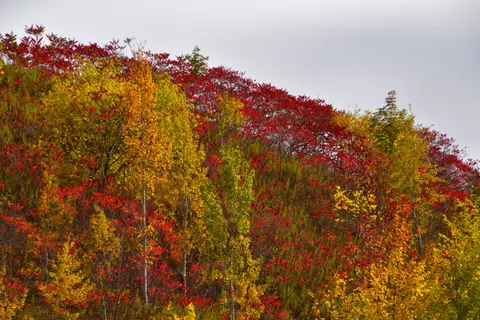 पतझड़ की नदी 4K वॉलपेपर · nature · 3840×2560