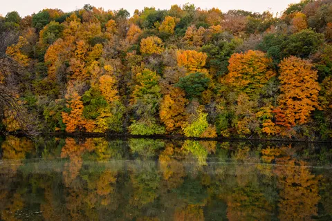 Autumn River 4K Wallpaper · nature · 3840×2560