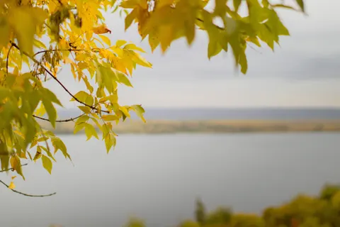 Sonbahar Nehri 4K Duvar Kağıdı · nature · 3840×2560