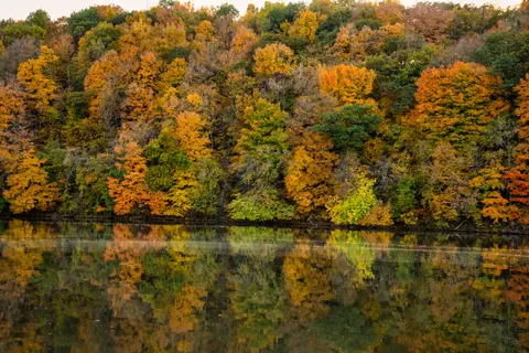 Autumn River 4K Wallpaper · nature · 3840×2560