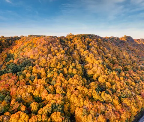 Autumn River 4K Wallpaper · nature · 3840×3241
