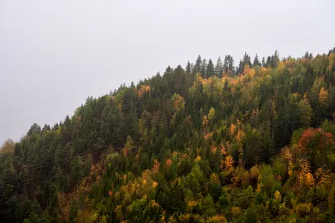 Fondo de pantalla Río en otoño 4K · nature · 3840×2561