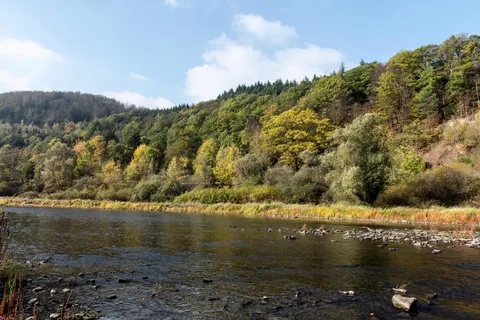 Herfstrivier 4K-achtergrond · nature · 3840×2563