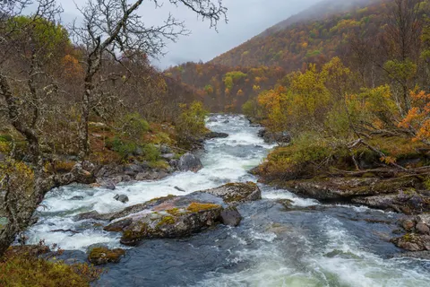 Hình nền Dòng sông mùa thu 4K · nature · 3840×2560