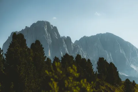 चीड़ का जंगल 4K वॉलपेपर · nature · 3840×2560