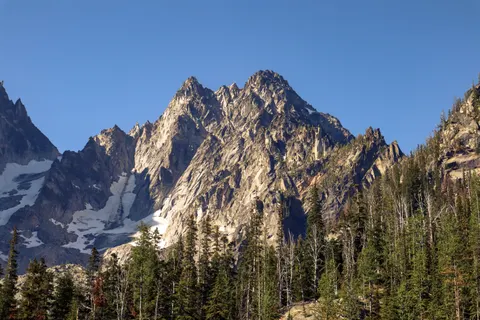 Fond d'écran Forêt de pins 4K · nature · 3840×2560