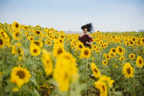 Hình nền Cánh Đồng Hoa Hướng Dương 4K · flowers · 3840×2563