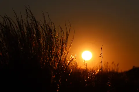 Zonsondergang op de savanne 4K-achtergrond · nature · 3840×2560