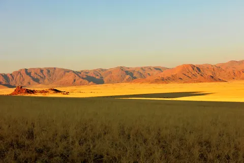 والپیپر غروب ساوانا با کیفیت 4K · nature · 3840×2560