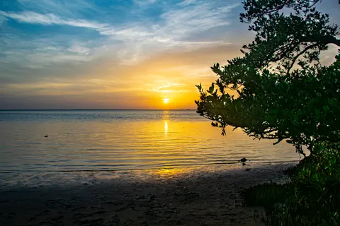 Savannen-Sonnenuntergang 4K Hintergrundbild · nature · 3840×2560