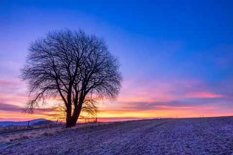 Wallpaper Senja di Sabana 4K · nature · 3840×2560
