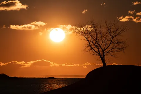 Wallpaper Senja di Sabana 4K · nature · 3840×2560