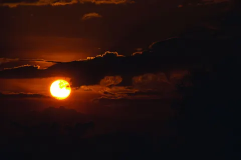 Wallpaper Senja di Sabana 4K · nature · 3840×2560