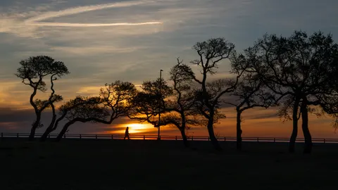 Tapeta Zachód słońca na sawannie 4K · nature · 3840×2160