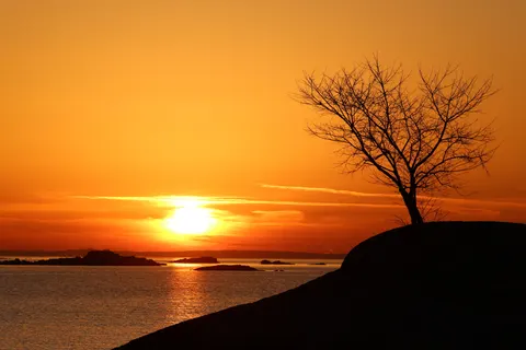 والپیپر غروب ساوانا با کیفیت 4K · nature · 3840×2561
