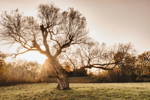 Fond d'écran Coucher de soleil sur la savane 4K · nature · 3840×2560