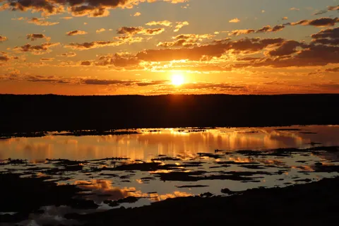 Savanna Sunset 4K Wallpaper · nature · 3840×2560