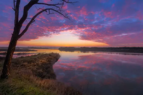Fondo de pantalla Atardecer en la sabana 4K · nature · 3840×2559