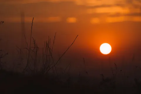 Zonsondergang op de savanne 4K-achtergrond · nature · 3840×2561