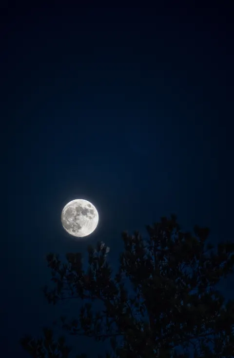 Full Moon Phone Wallpaper · moon · 1440×2198