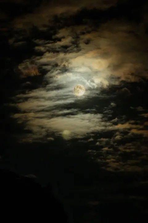 Full Moon Phone Wallpaper · moon · 1440×2160