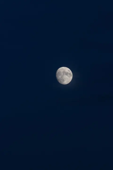 Full Moon Phone Wallpaper · moon · 1440×2160