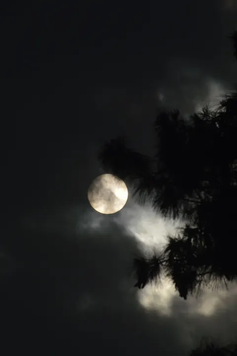 Full Moon Phone Wallpaper · moon · 1440×2166