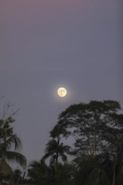 Full Moon Phone Wallpaper · moon · 1440×2160