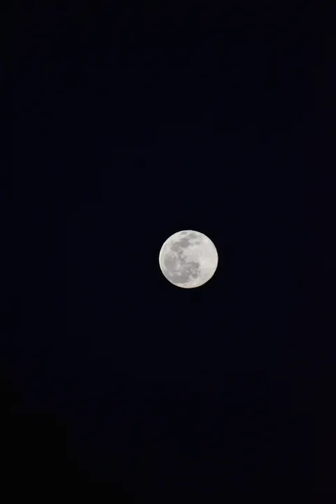 Full Moon Phone Wallpaper · moon · 1440×2160