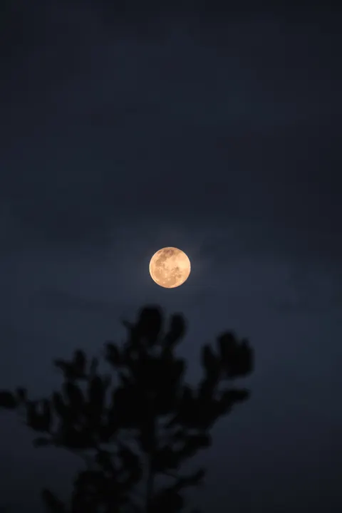 Full Moon Phone Wallpaper · moon · 1440×2160