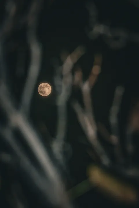 Full Moon Phone Wallpaper · moon · 1440×2160