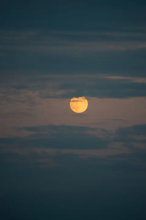 Full Moon Phone Wallpaper · moon · 1440×2160