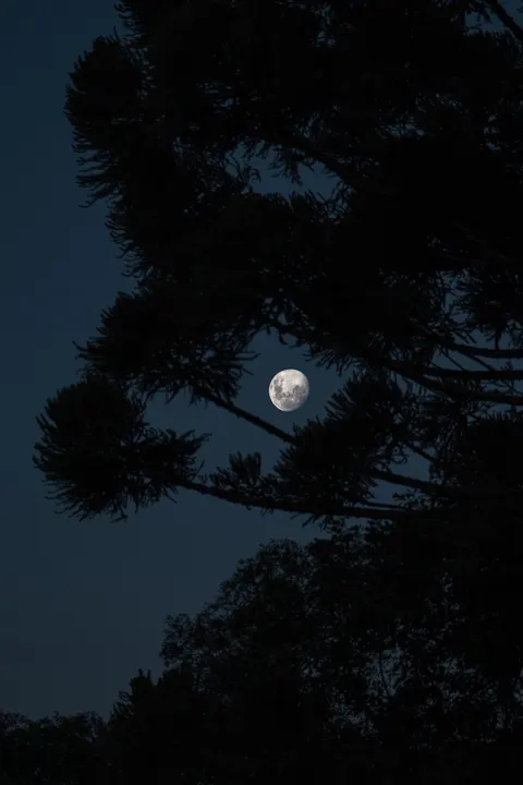 Full Moon Phone Wallpaper · moon · 1440×2160