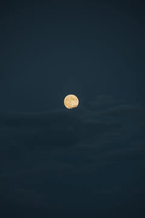 Full Moon Phone Wallpaper · moon · 1440×2160