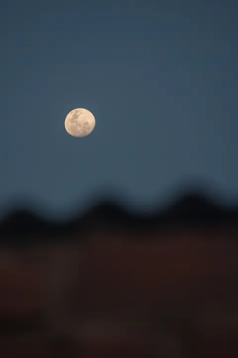 Full Moon Phone Wallpaper · moon · 1440×2159