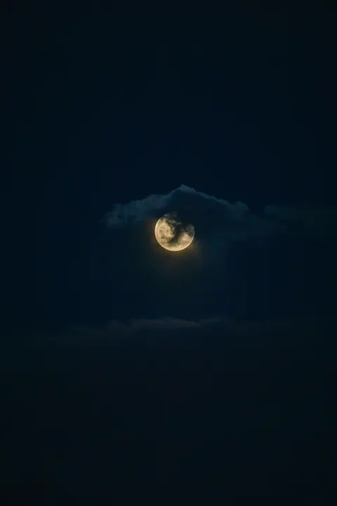Full Moon Phone Wallpaper · moon · 1440×2160