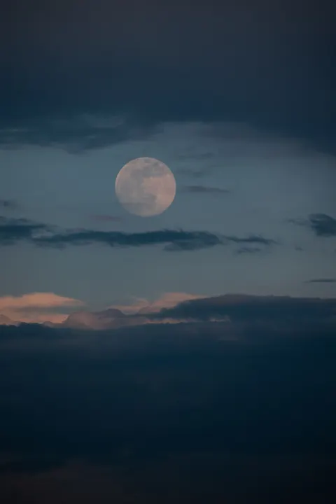 Full Moon Phone Wallpaper · moon · 1440×2160