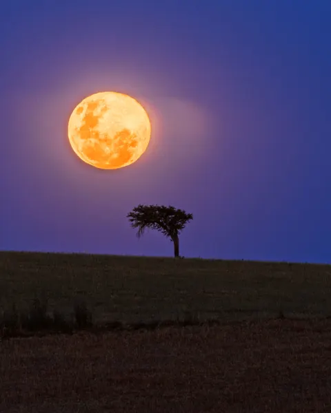 Full Moon Phone Wallpaper · moon · 1440×1800