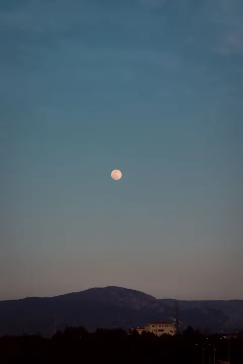 Full Moon Phone Wallpaper · moon · 1440×2160