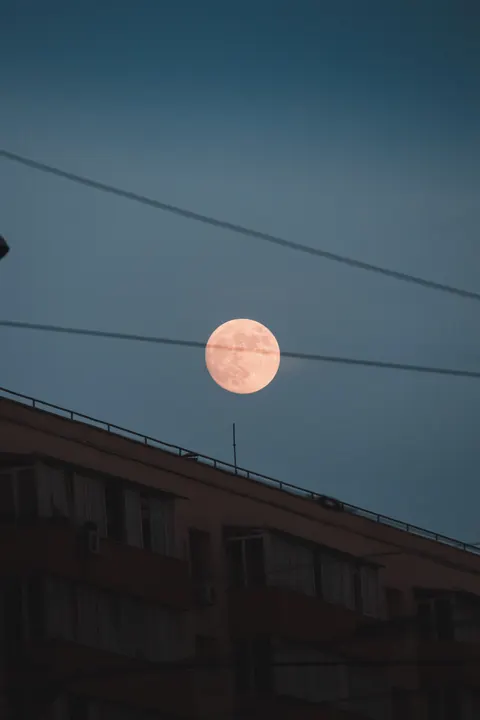 Full Moon Phone Wallpaper · moon · 1440×2160