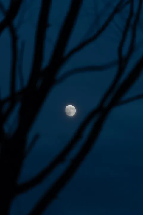 Full Moon Phone Wallpaper · moon · 1440×2157