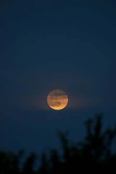 Full Moon Phone Wallpaper · moon · 1440×2160