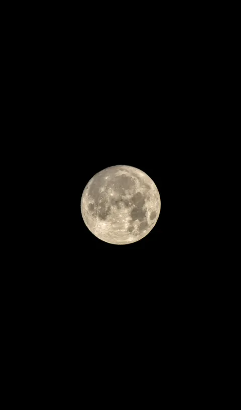 Fondo de Pantalla para Móvil Luna Llena · moon · 1440×2452