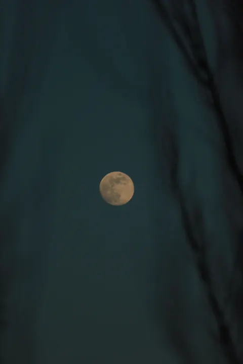 Full Moon Phone Wallpaper · moon · 1440×2160