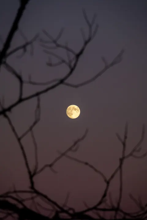 Full Moon Phone Wallpaper · moon · 1440×2160