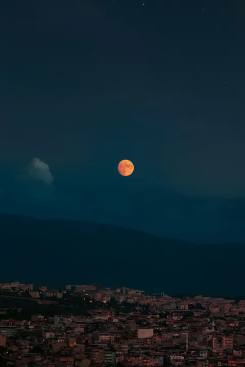 Full Moon Phone Wallpaper · moon · 1440×2160