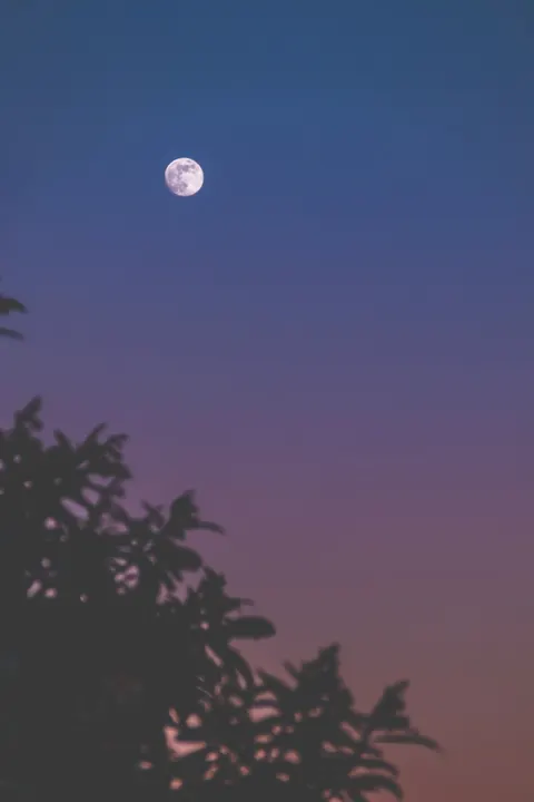Full Moon Phone Wallpaper · moon · 1440×2160