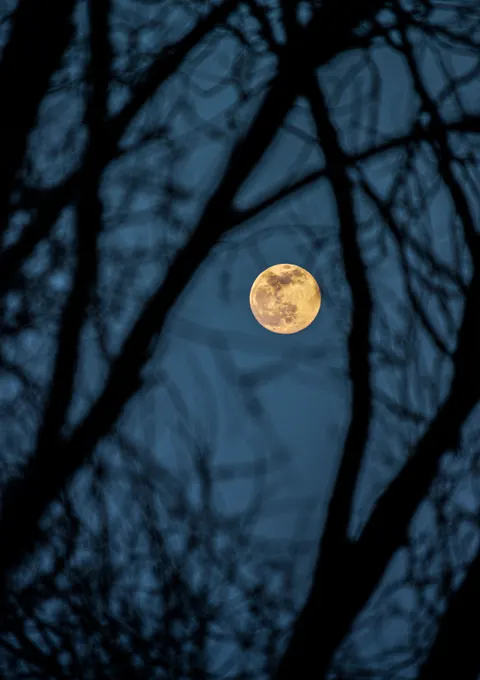 Full Moon Phone Wallpaper · moon · 1440×2041