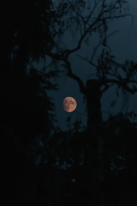 Full Moon Phone Wallpaper · moon · 1440×2160